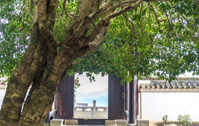 清明假期出游新热点贵州,清明贵州旅游自由行攻略