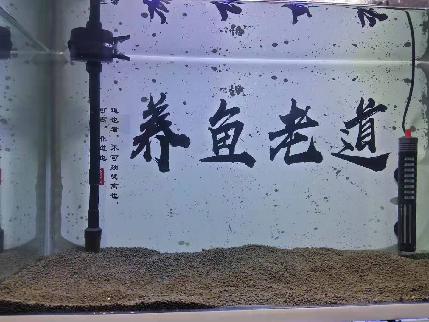 鱼缸水质白浊一夜恢复,解决鱼缸水白浊