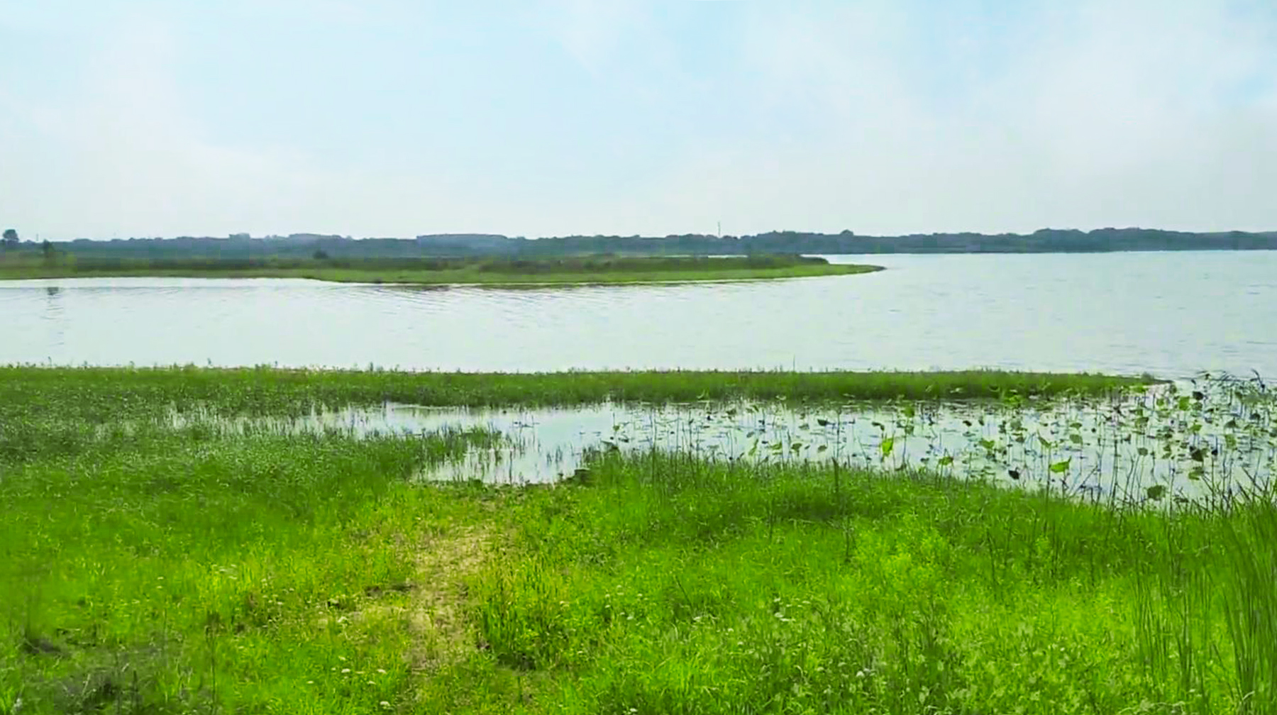 武汉绝美湿地公园,武汉东湖湿地公园景点
