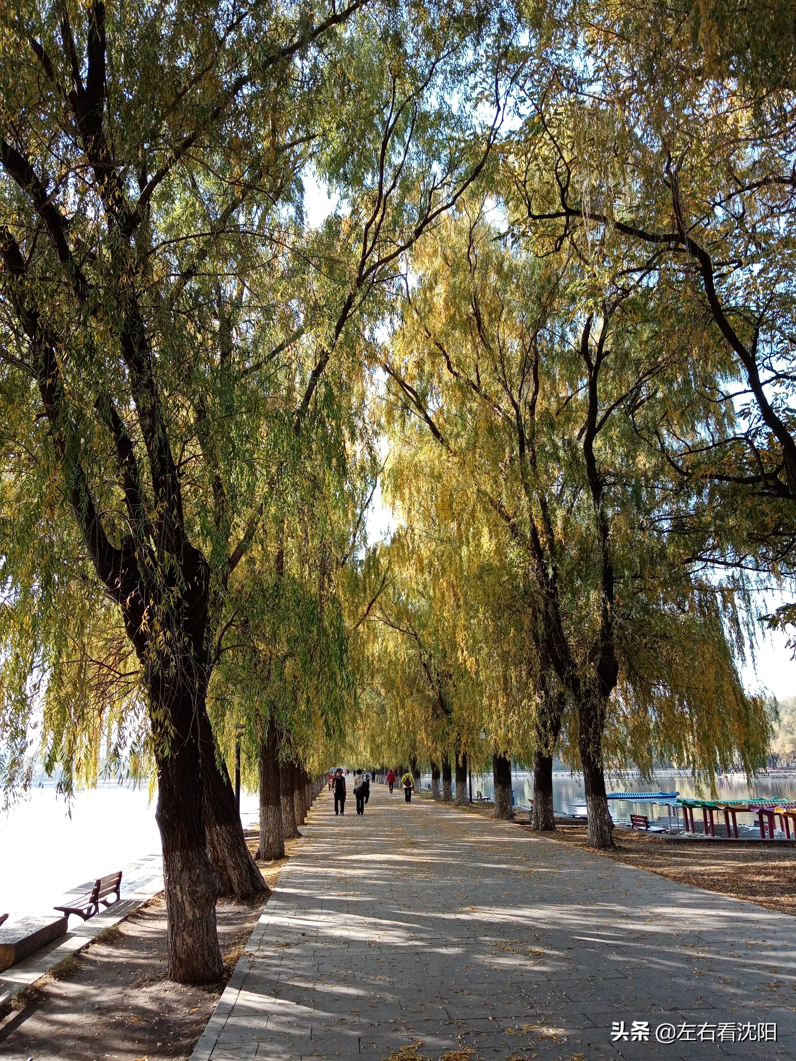 秋季沈阳北陵公园有啥好玩的,漫步沈阳北陵公园湖水边