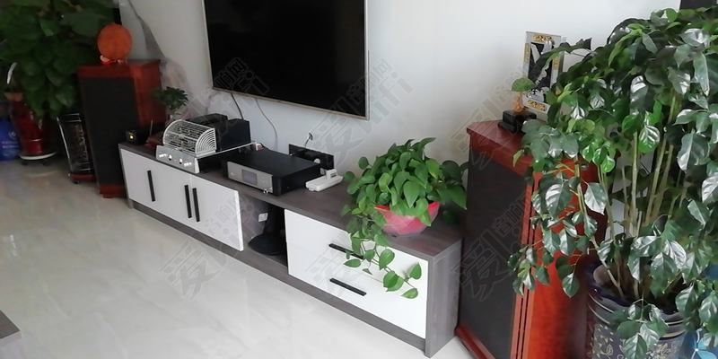 为了听歌就要花钱,玩hifi哪些设备对音质影响最大