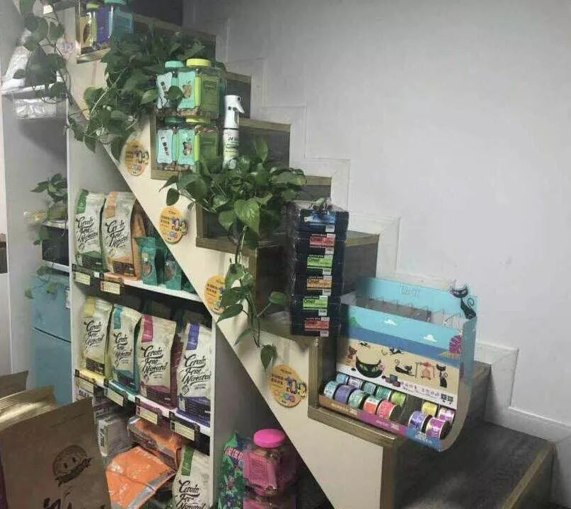 宠物店办理会员卡一般哪个系统,宠物店会员卡服务流程