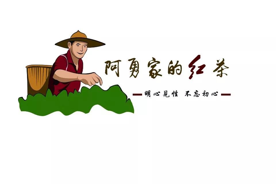 英德红茶是让人最静心的饮品,英德红茶的特点及营养价值