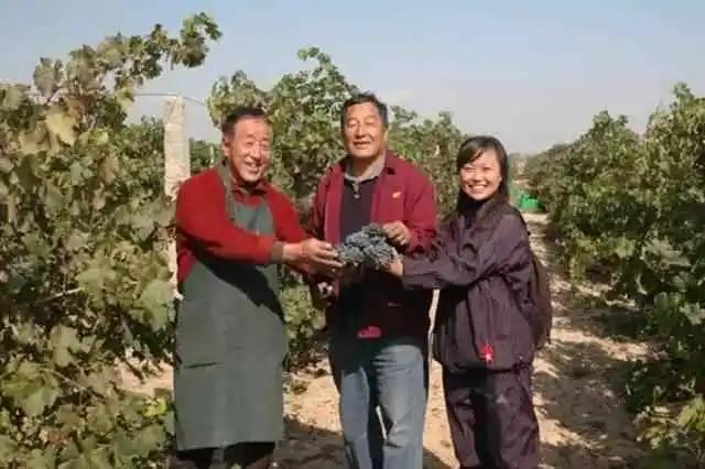 赵薇：我觉得法国红酒比中国好喝，我也愿意花钱投资