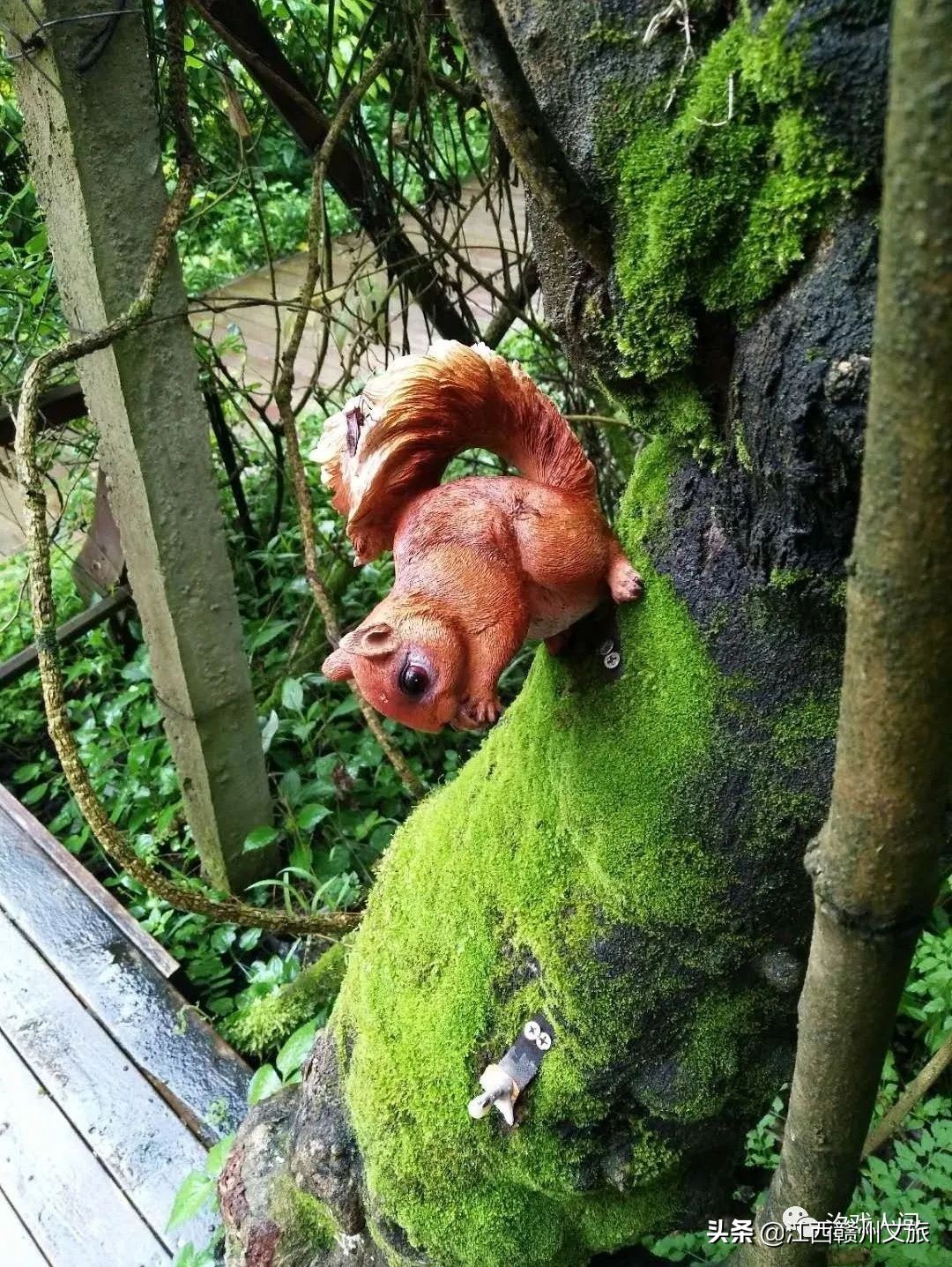 赣州亚马逊电商平台概念,赣州有亚马逊吗