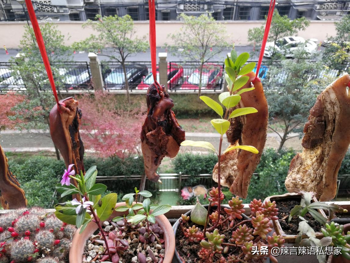 冬季如何腌酱肉,腌肉香喷喷
