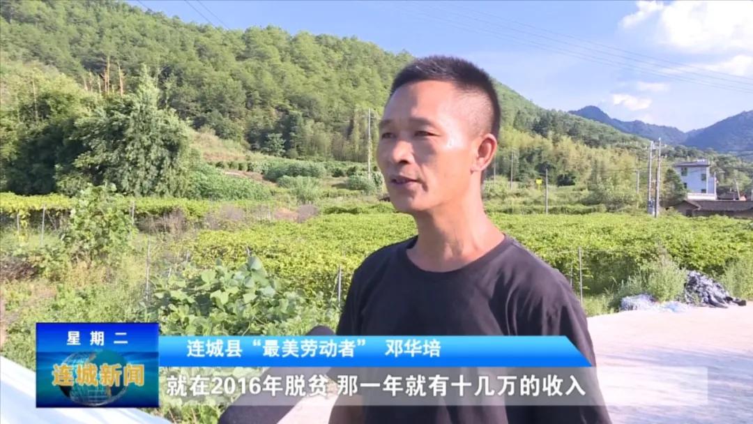 最美劳动者先进个人事迹,最美劳动者人物事迹湖北