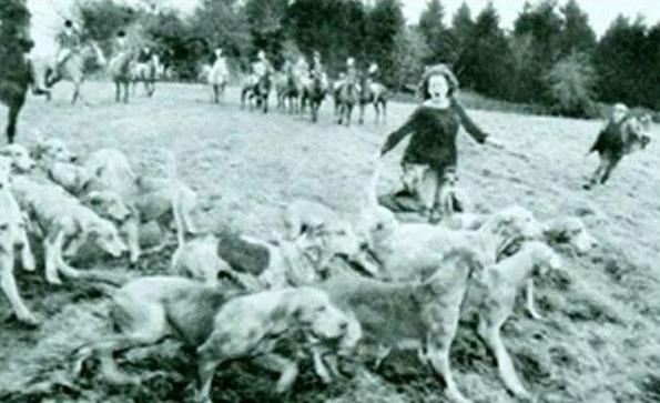 对新疆棉花新事件看法,国外看待新疆棉花最新事件