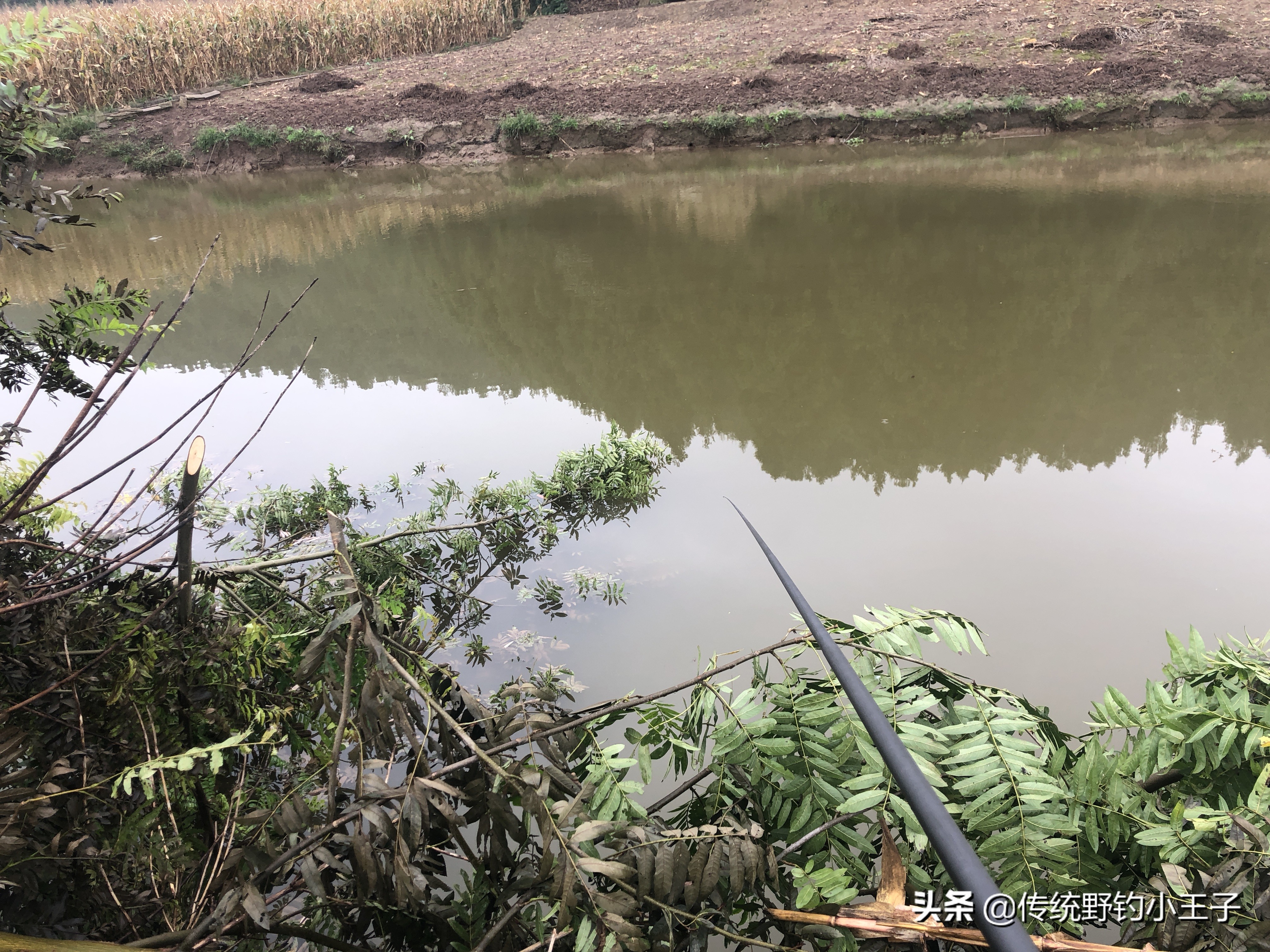 谷麦钓通线1.5和2.0对鱼口影响大吗,野钓谷麦用什么打窝比较好