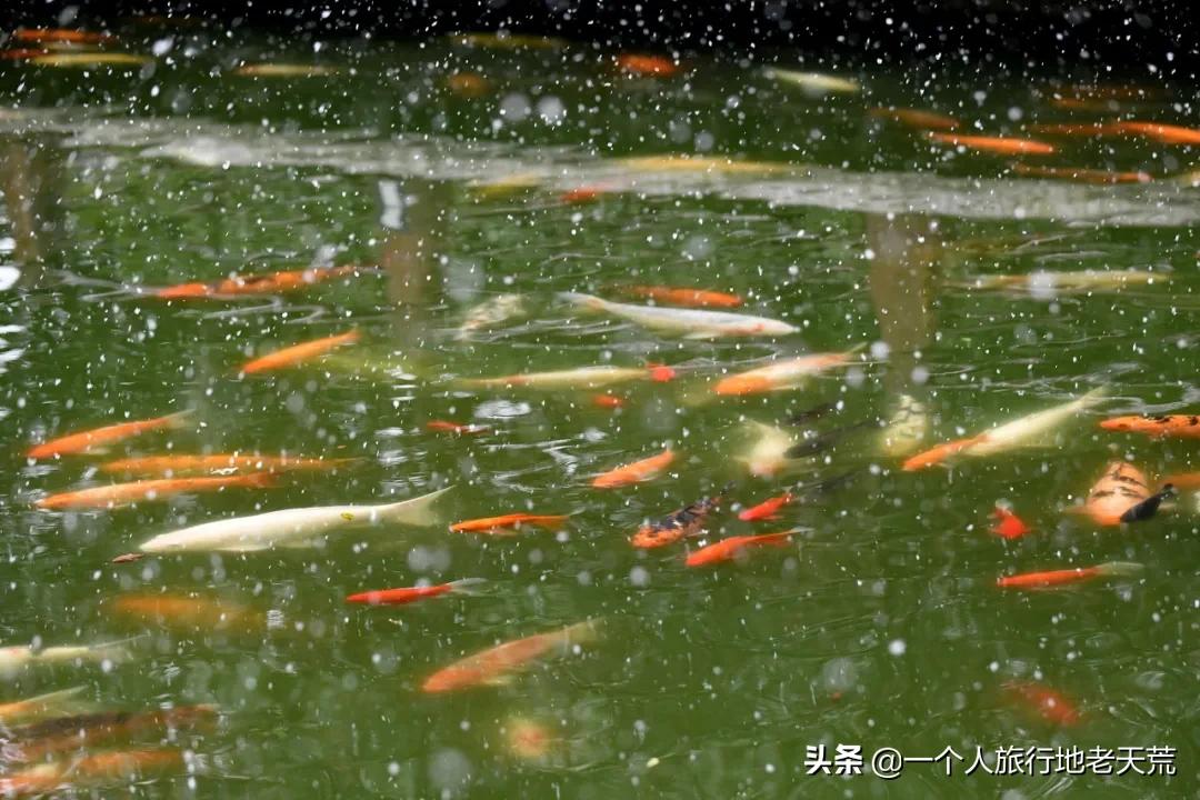 江苏这个“快乐”的城市，颜值不输苏杭，连苏东坡都在这养老