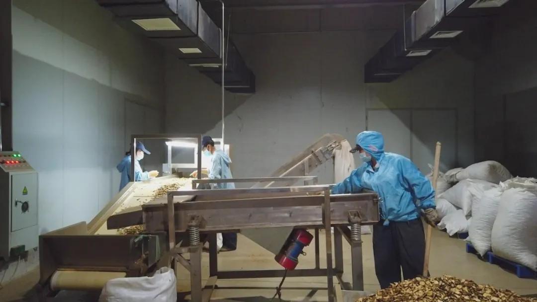 幸福生活到底啥模样,幸福生活到底是什么样的