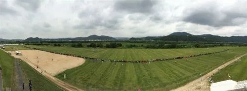 自认“绑腿走路”项目天下无敌的日本，被中国少林寺砸了场子