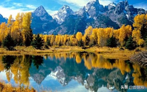 素食主义会导致疾病的增加,素食主义倡导者死亡