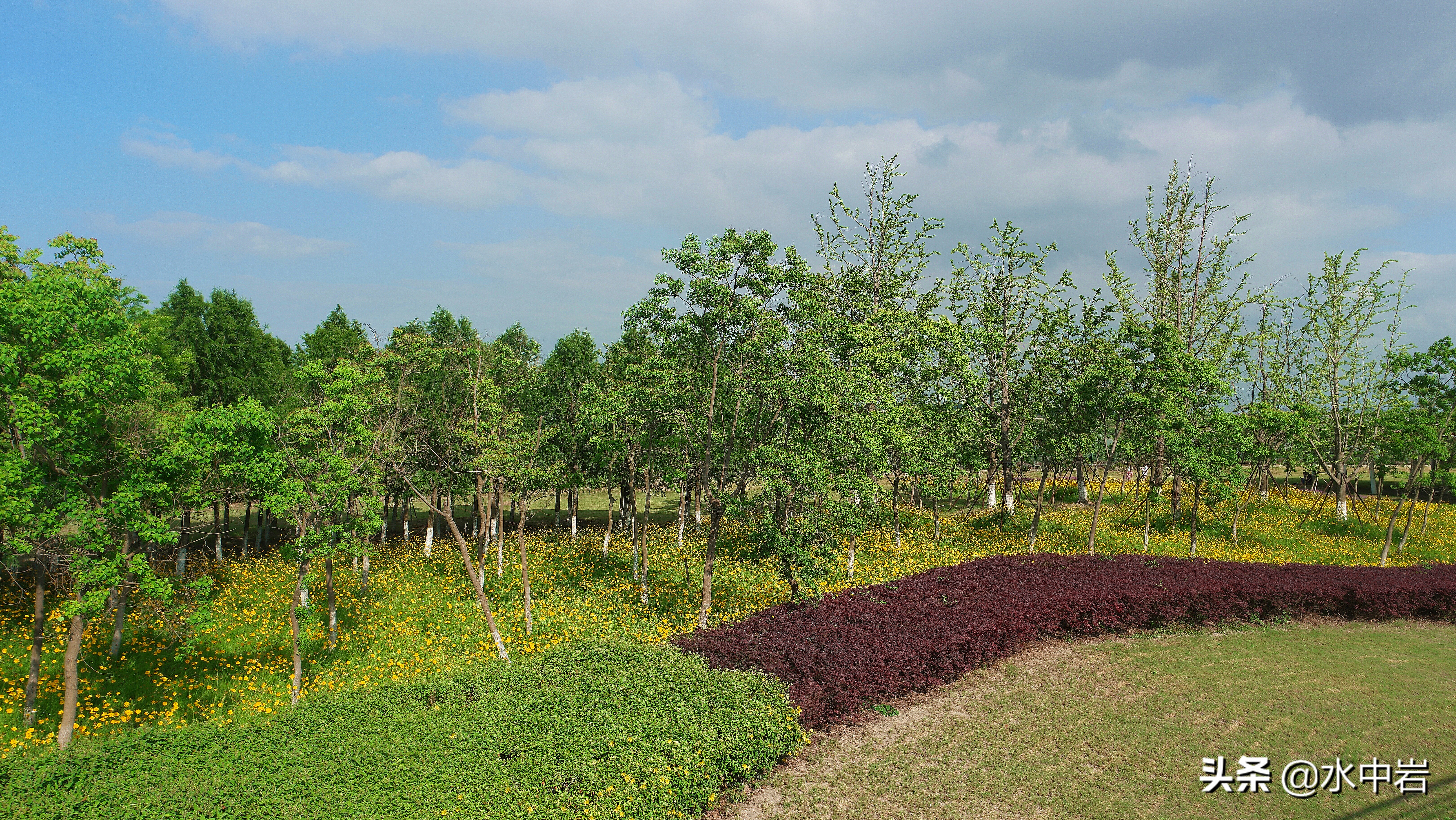 长江流域发生了几次大型洪涝灾害,江苏历史上遭遇的洪水