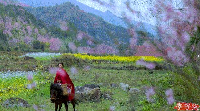 李子柒消失的55天鲜花宴,李子柒火到全球的视频