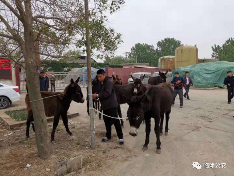 我为群众办实事点亮微心愿,我为群众办实事暖心视频