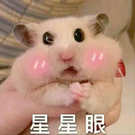 宋祖儿阮经天相差几岁,宋祖儿阮经天是不是真的情侣