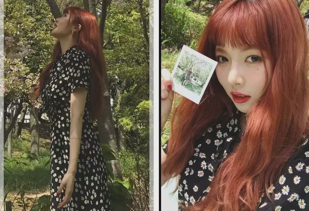 权志龙关于爱情,关于权志龙小雏菊所有资料