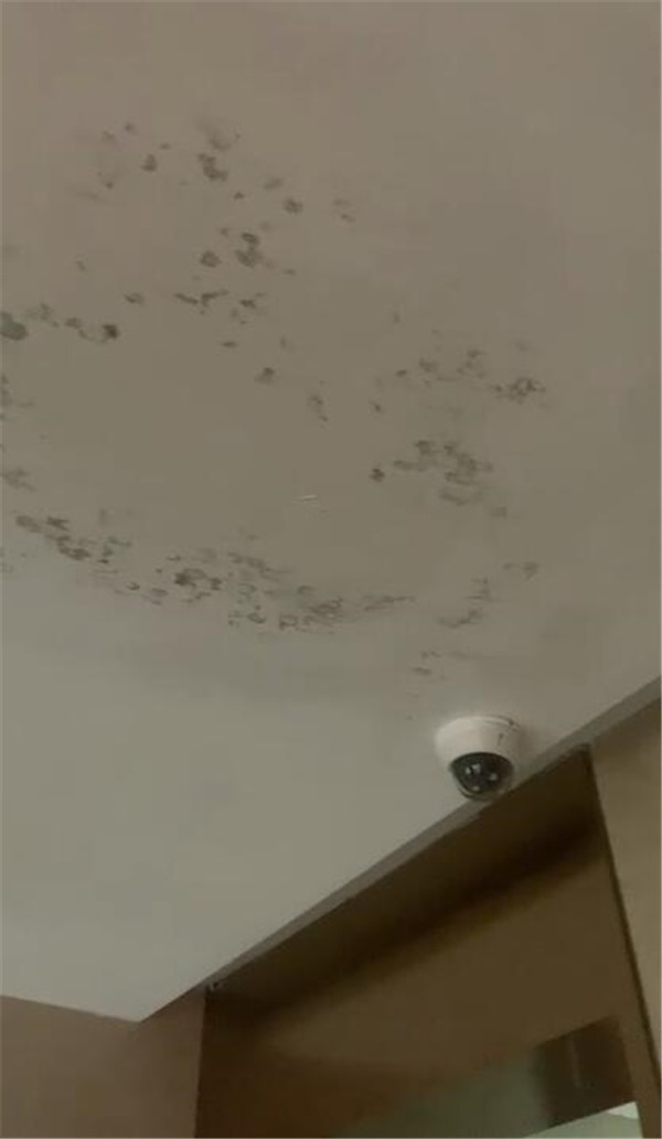 万达房产质量问题怎么解决,万达精装房质量投诉