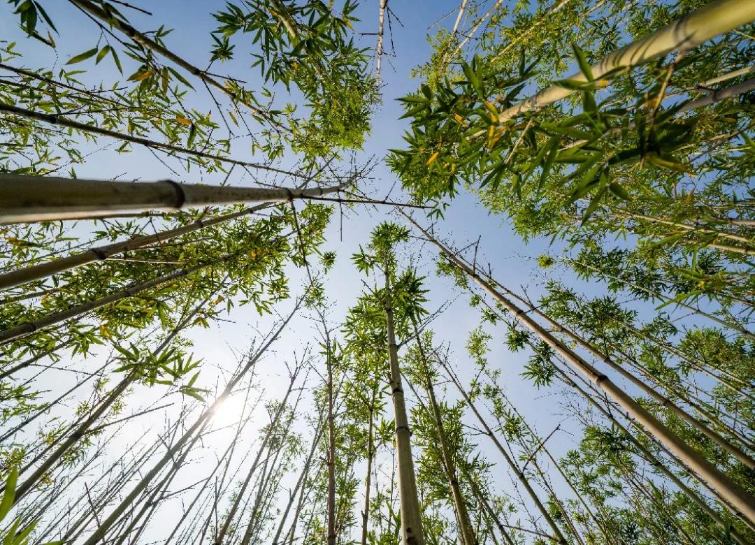 有一座城市,有没有一座城市让你无限向往