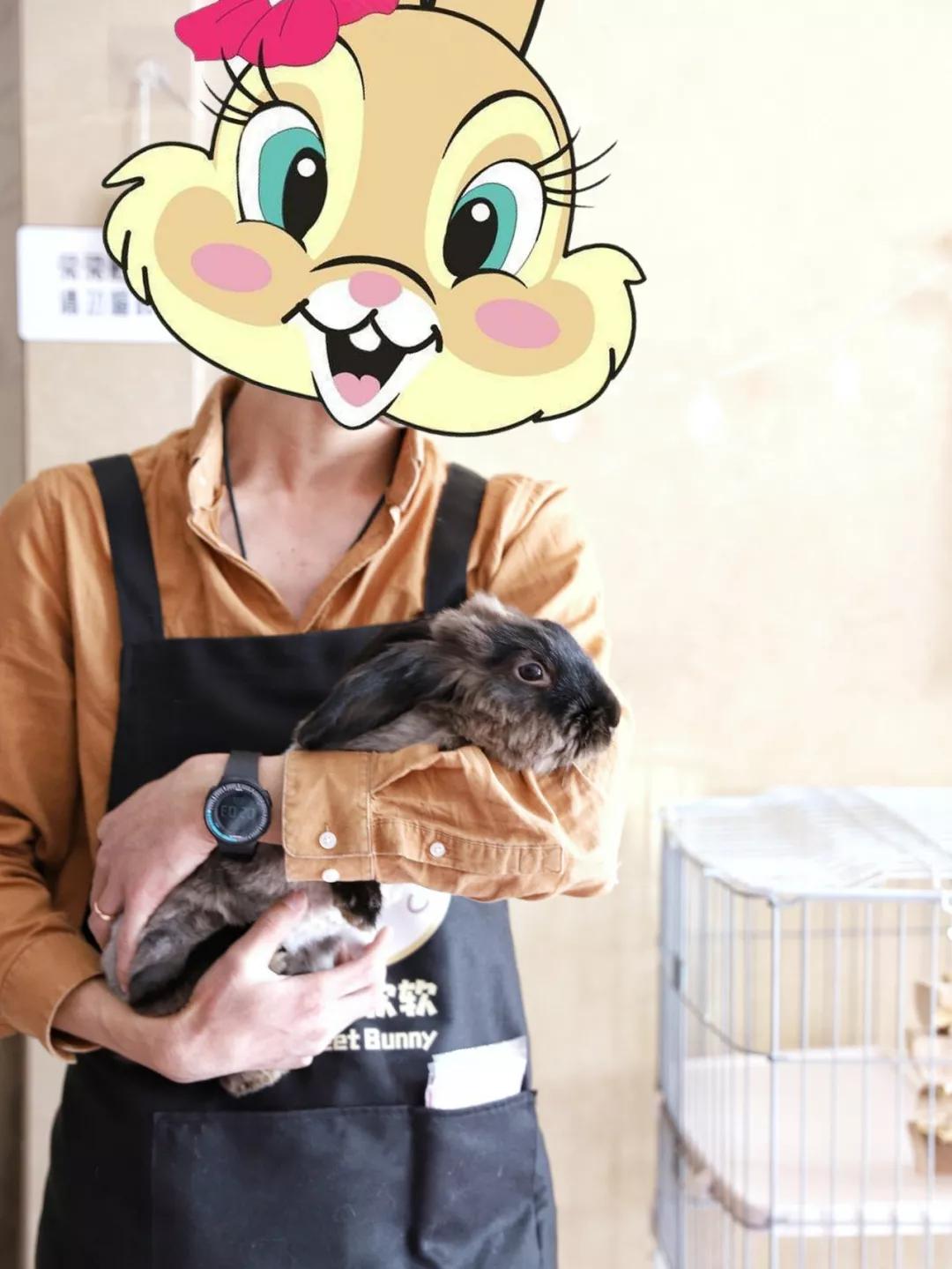 北京有没有撸猫的地方,福州撸兔兔的店