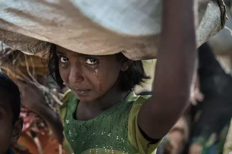 2018ippa摄影大赛公布获奖作品,国际摄影大奖佳作欣赏美爆了