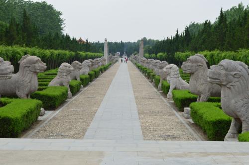 朱元璋为什么取消定国号,朱元璋为什么后面要大开杀戒