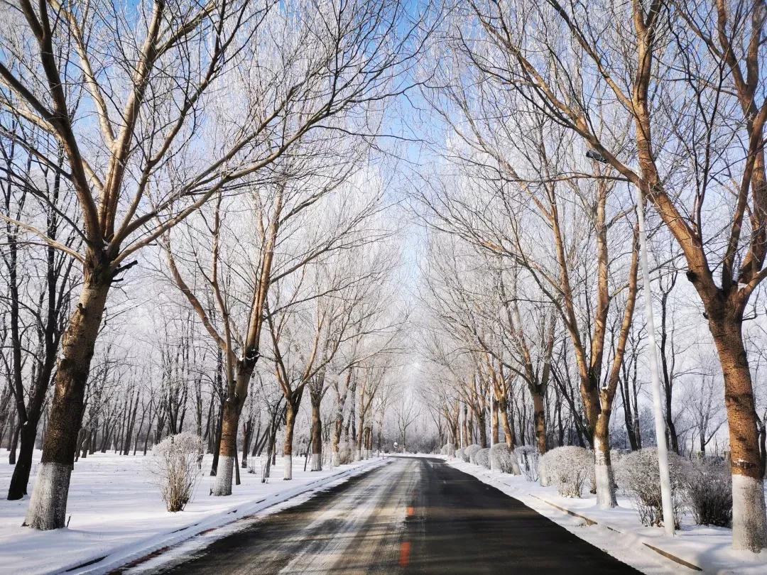 沈阳化工大学辽宁省排名,沈阳化工大学2020招生计划辽宁省