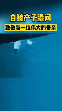 假如有异性朋友舔了一口冰激凌,如果有个女生吃你的冰淇淋怎么办