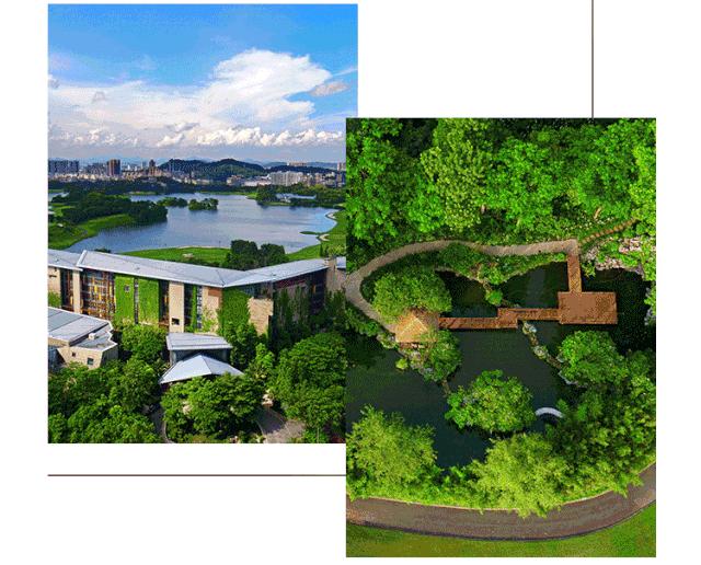 星爷同款电动大床,星爷同款床