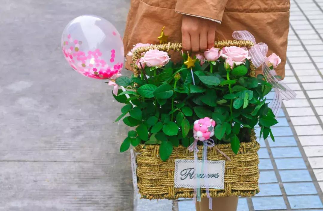 厦门这家超浪漫的鲜花餐厅,厦门最好看的花店