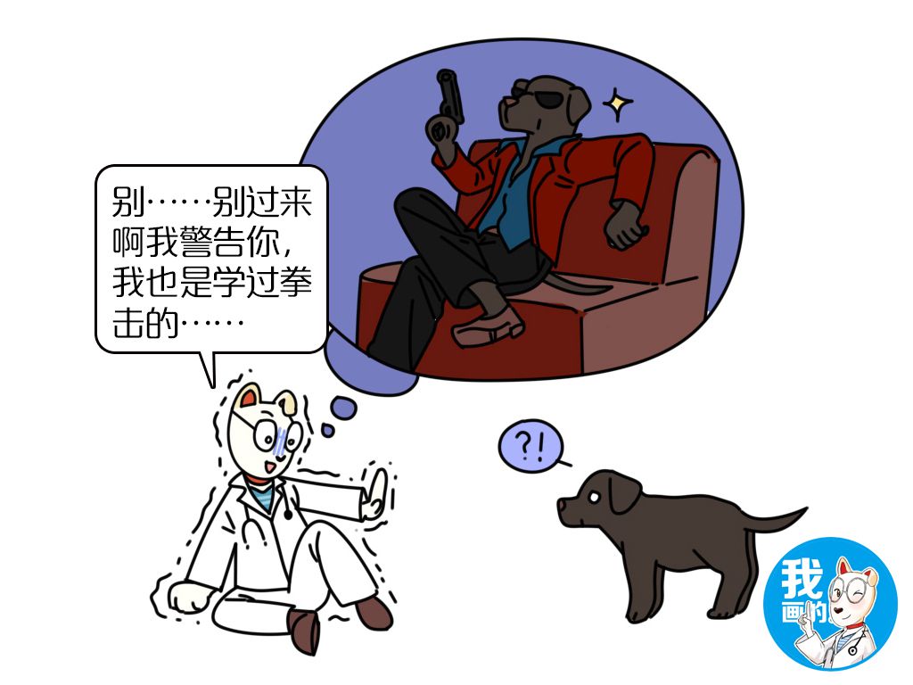 拉布拉多不为人知的“黑料”,为什么有黑色的拉布拉多