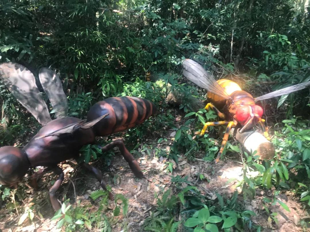 有玩有吃的礼物,有玩有吃的旅游景点