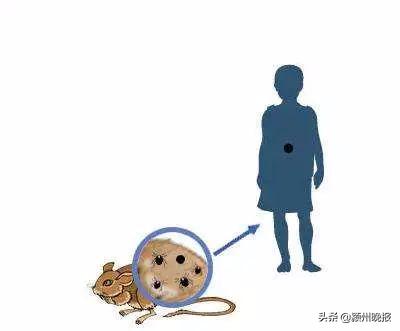 阜阳疾控最新提醒,阜阳市疾控中心官网