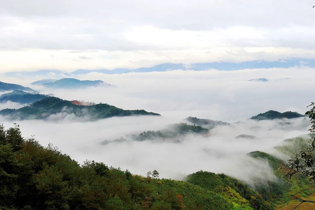 尤溪有闽中明珠之称,尤溪县闽中茶城