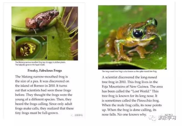 英语raz分级阅读解析,英语raz分级阅读绘本含多少词汇量