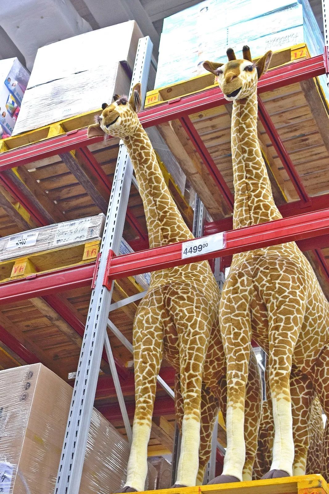 山姆新店活动码,山姆会员店宝藏单品