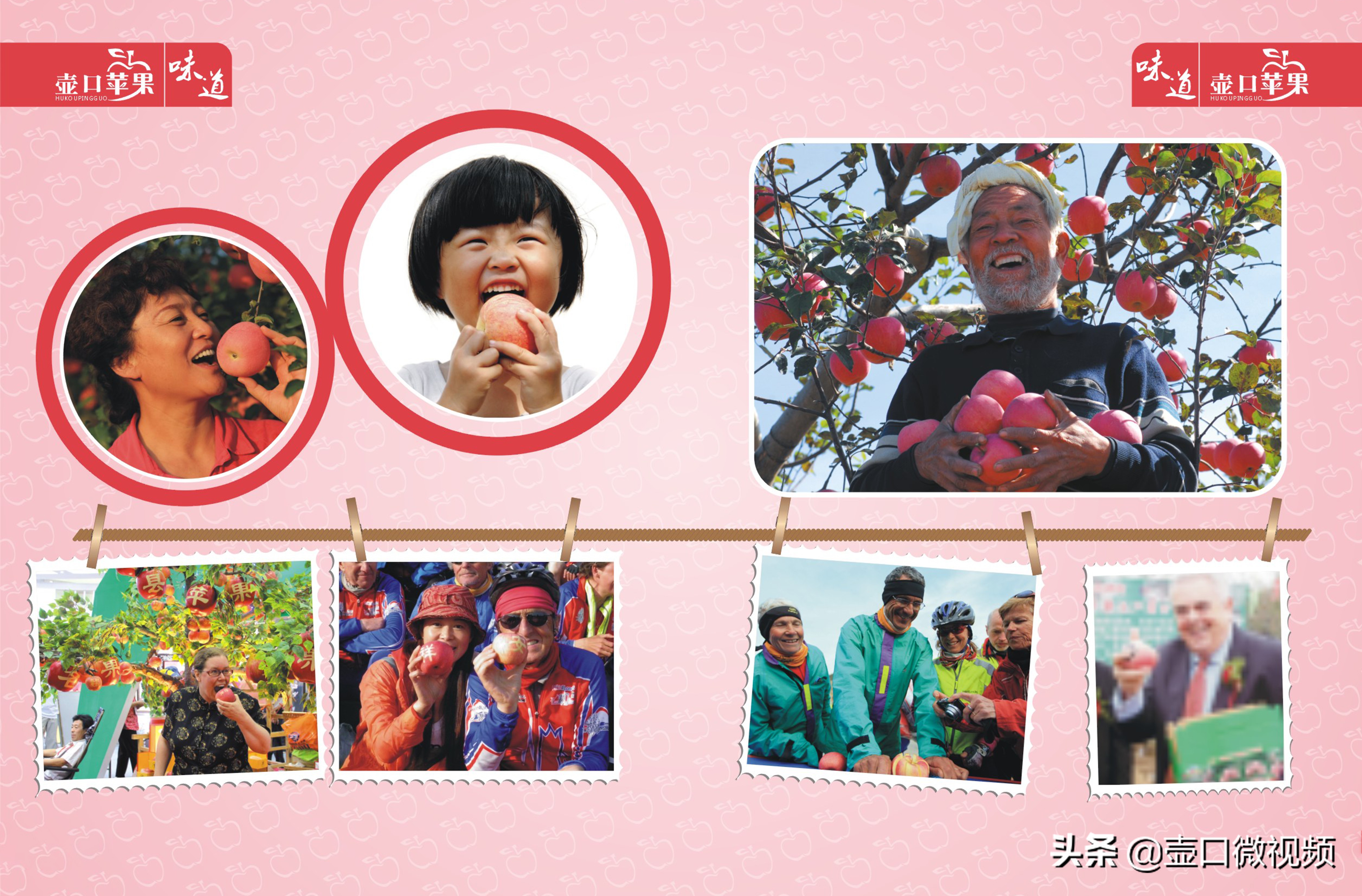 吉县苹果行情怎么样,吉县苹果现在出库价钱