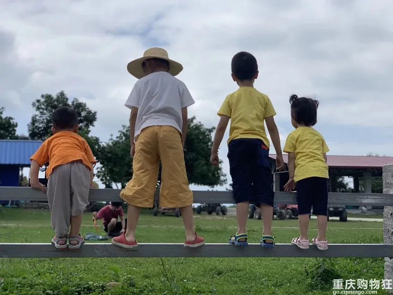 我用10年时间把重庆避暑地和避暑方式体验了个遍，优缺点全在这