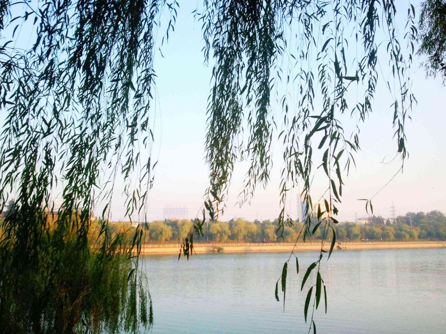 老年歌曲民歌1000首,老年歌曲100首经典老歌歌词