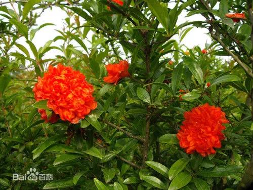 三明大金湖导游词400字,大金湖的景区导游介绍