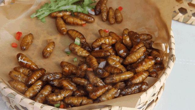 石锅鱼翅花胶捞饭团购,上海花胶鱼翅捞饭