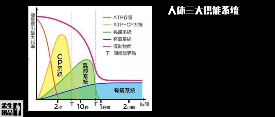 肌酸常见问题,肌酸要买什么肌酸