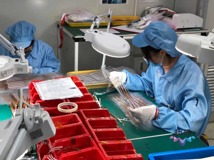 助力外向型经济发展扬州市5家企业获得信用“金名片”