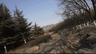 智云稳定器weebills竖装,智云稳定器weebill3对比weebill3s