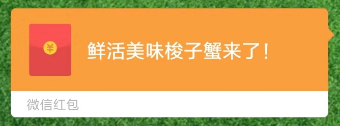 活用“李佳琦”式直播，看普通海产品店如何利润翻5倍