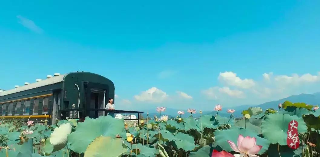 台州的风景哪里好,台州是个美丽的地方