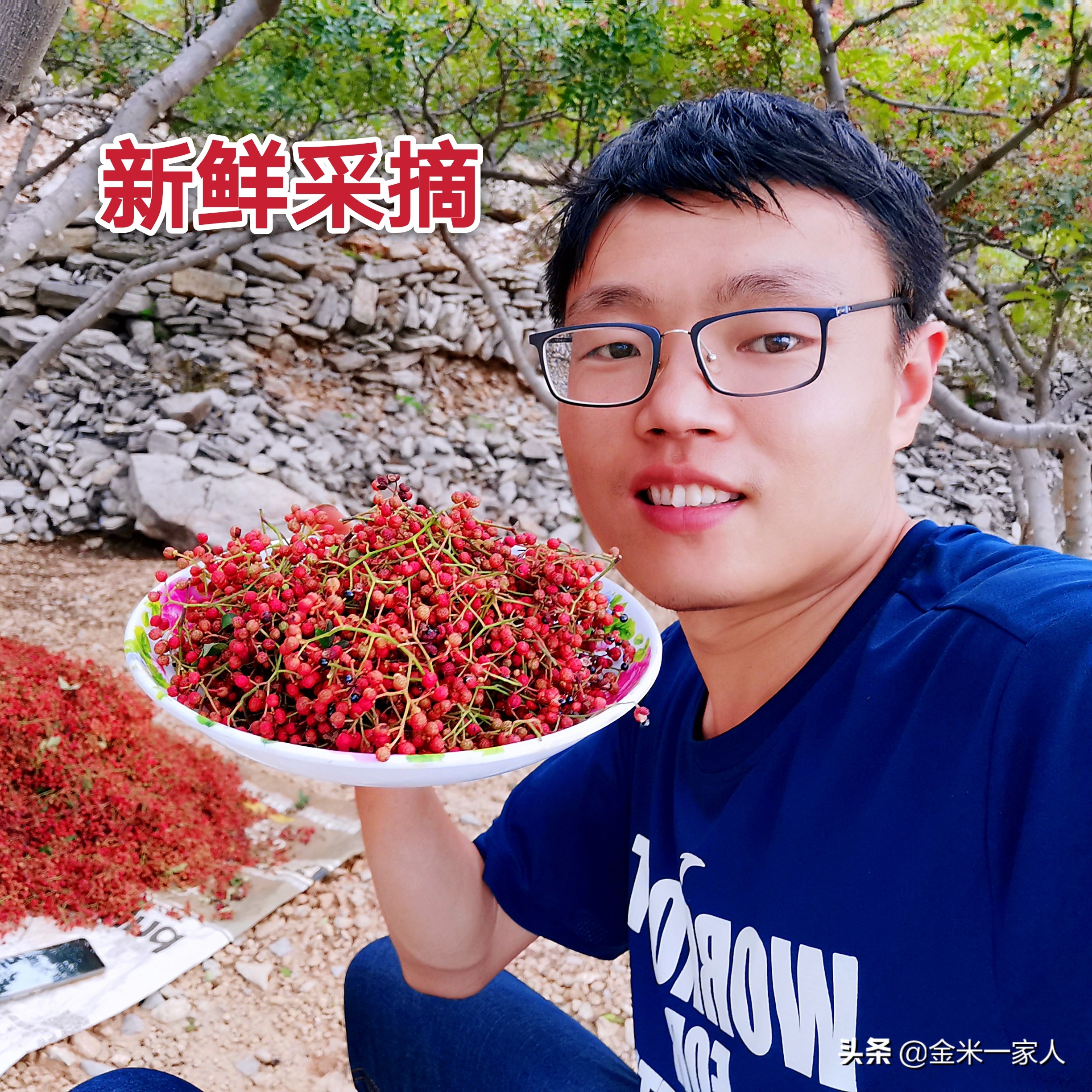 花椒好吃但是摘花椒也辛苦,教给大家采摘花椒的小技巧