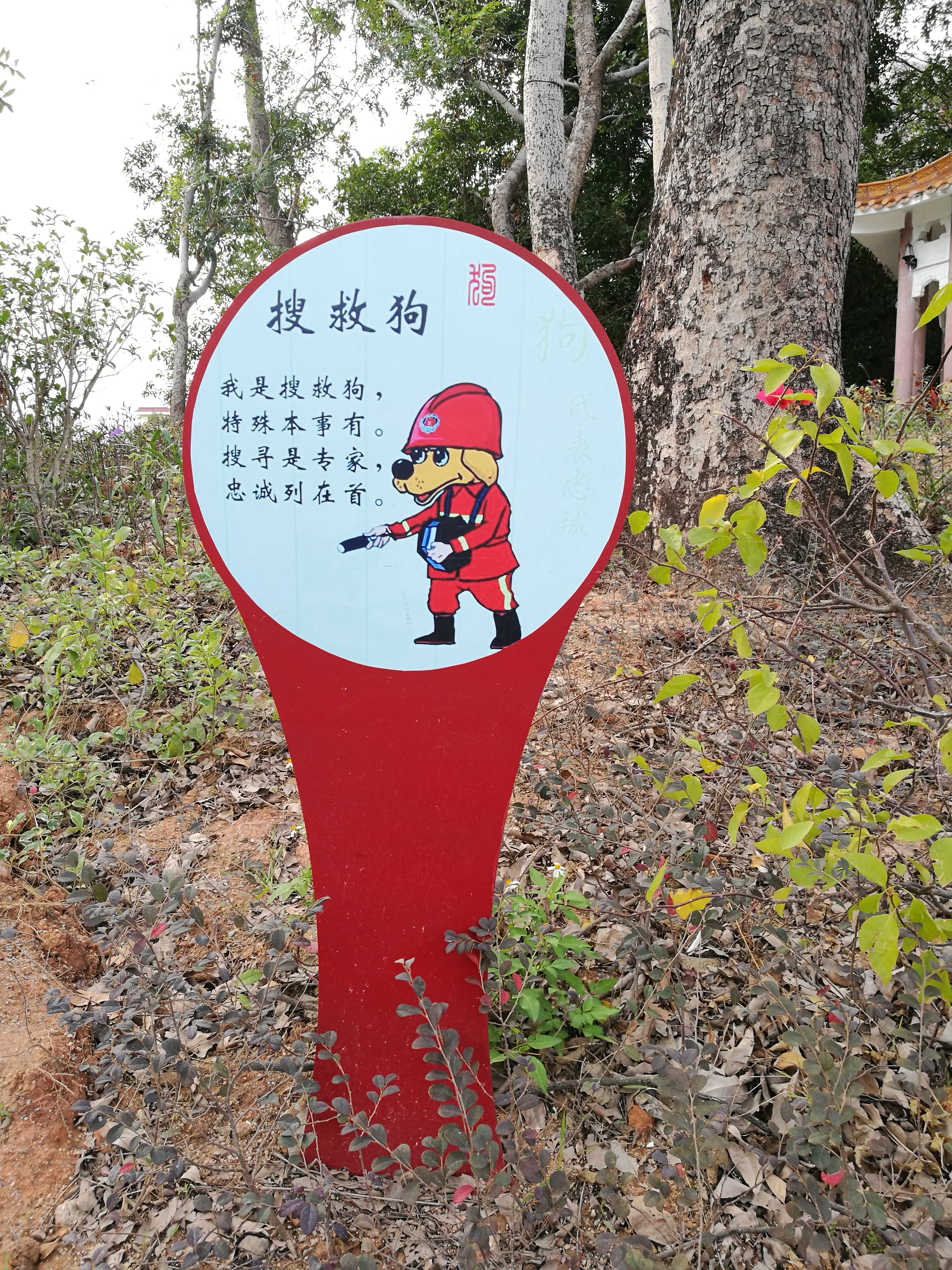 平安夜偶遇第一场雪,平安夜偶遇生日