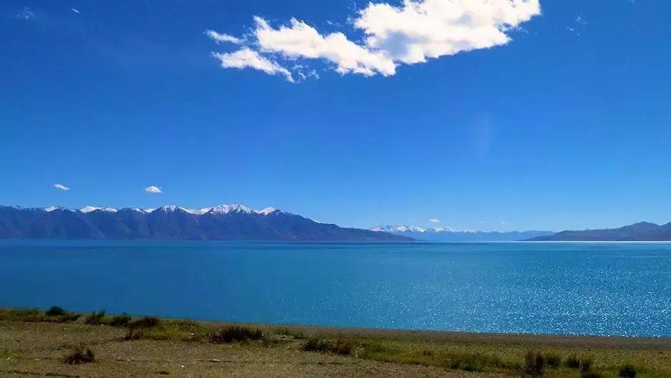 冷知识鲜为人知,冷知识大全恐怖未解之谜